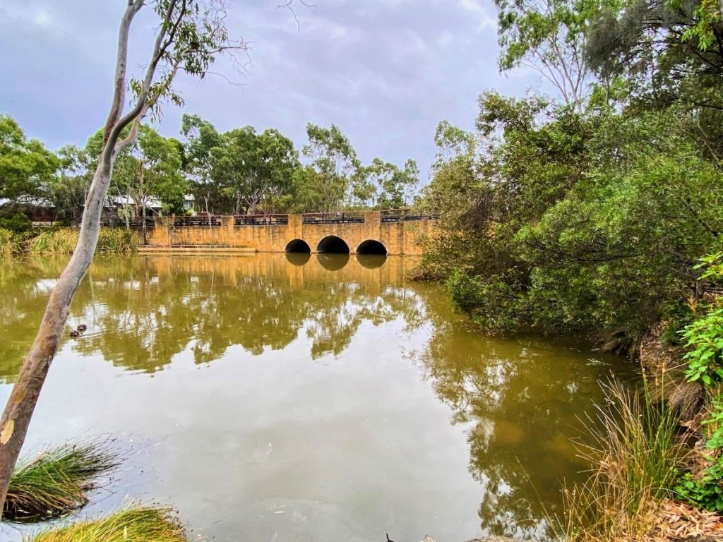 Dedicated to improving the biodiversity of Woodlake Drive Reserve in conjunction with Mitcham Council